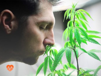 Детоксикация от марихуаны в Салехарде